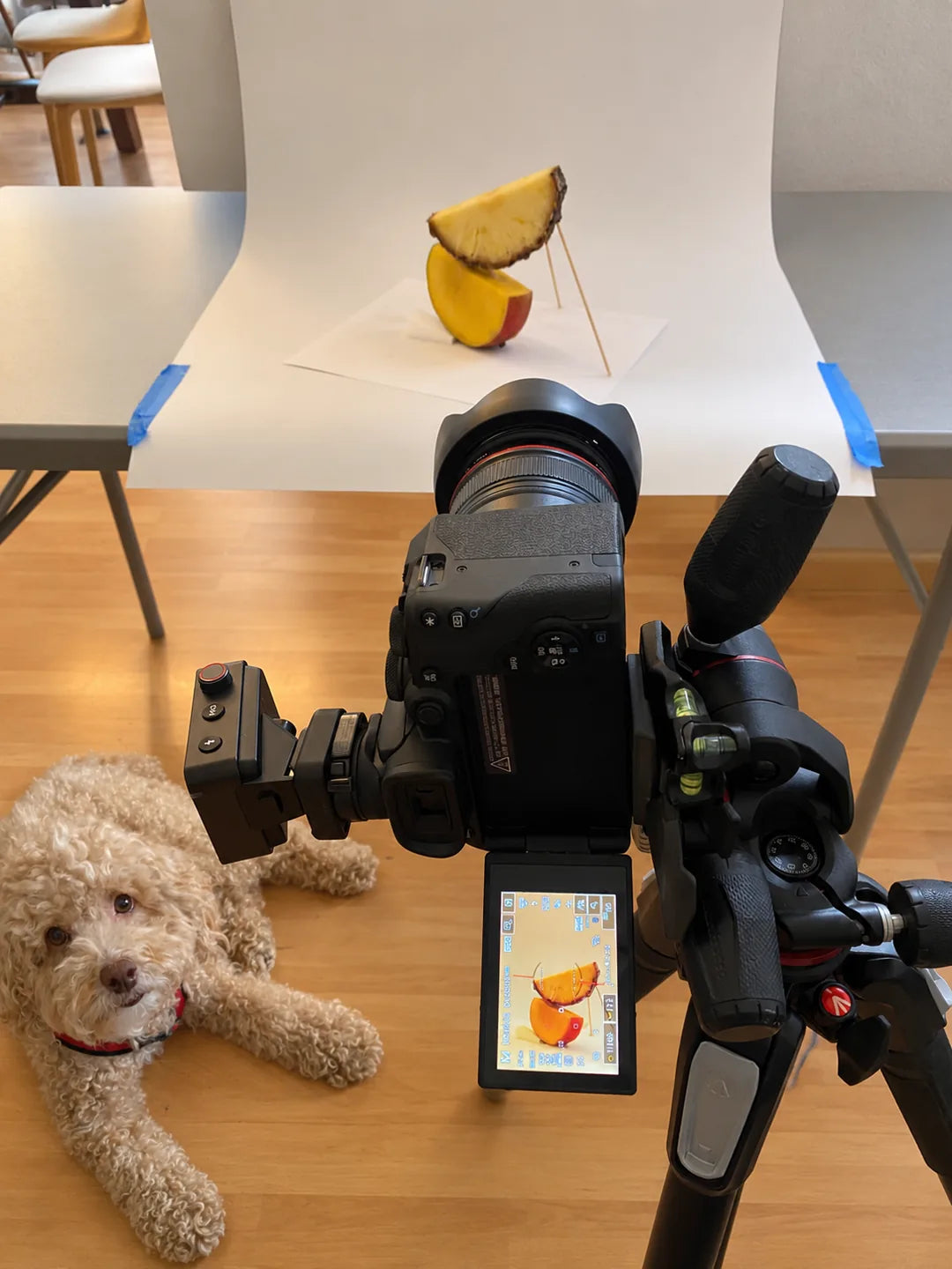 Noodles lying beside the camera and tripod during a fruit product photoshoot in the living room.